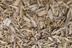 biomass boilers Tan Hinon